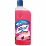 Lizol Floral Disinfectant Surface Cleaner 625 ml