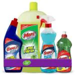 My Home 4 in 1 Cleaning Combo Pack (500 ml + 1 L+ 550 ml + 250 ml)