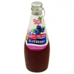Coco Royal Basil Seed Blueberry Drink 290 ml