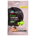 Godrej Expert Easy 5 minutes Shampoo based Hair Color, Burgundy (4.16) 25 ml