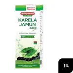 Baidyanath Karela Jamun Juice 1 L