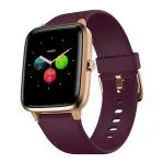 Noise Colorfit Pro 2 Full Touch Control Smart Watch (Deep Wine)