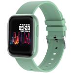 Fire-Boltt BSW011 Ninja Pro Full Metal with Button, SpO2 & Heart Rate Smartwatch (Green)