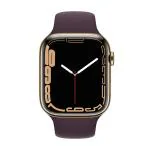 Apple Watch Series 7 Cellular - 45 mm Gold Stainless Steel Case with Dark Cherry Sport Band