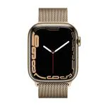 Apple Watch Series 7 Cellular - 45 mm Gold Stainless Steel Case with Gold Milanese Loop