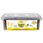 Dr. Brand Premium Ginger Flavoured Jaggery Cube 700 g