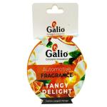Galio Tangy Delight Car Air Freshener 65 g