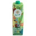 Only Earth Plant Based Unsweetened Coconut Drink 1 L