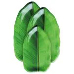 Wood and Kemp Banana Leaf Melamine Tray Set Gift Box (3 pcs)