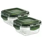 Roxx Vision Transparent Glass Tiffin Box 300 ml (set of 2)
