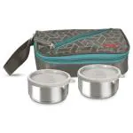 Flair Lunch Mate Assorted Stainless Steel 2 Container Tiffin Box with Bag 900 ml