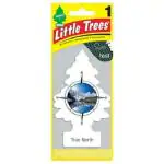 Little Trees True North Air Freshener