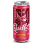 Kingfisher Strawberry Cranberry Radler 300 ml