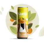 Sante Zesty Orange Fruit Drink 250 ml