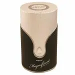Armaf Magnificent Eau De Parfum for Men 100 ml