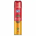 Good Home Divine Room Freshener Spray 160 g
