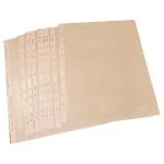 Quick Work Transparent A4 Protector Sheets (10 Pcs)