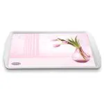 Asian Franco Assorted Colour Rectangular Plastic Tray 11x16x2 cm