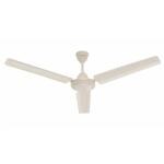 Candes Magic 1200 mm Anti-Dust Ceiling Fan, Ivory