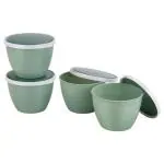 Joyo Assorted Plastic Rubber Lock Plastic Container 4 pcs (1200 ml) - Design / Colour may vary