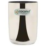 Coconut Amrapalli Steel Glass 270 ml