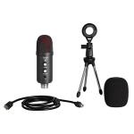 Gamma Audio GA-YR06 Condenser Microphone with All Set Studio Recording Kit for Interview, Streaming, Singing, Podcast (Black)