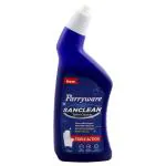 Parryware Sanclean Toilet Cleaner 500 ml