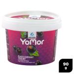 Jain Dairy Yomor Black Currant Yogurt 90 g (Cup)