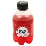 Nature Day Kokum Soft Drink 200 ml