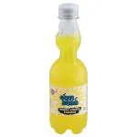 Walya's Nimbu Ginger Flavour Goti Soda 300 ml