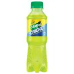 Campa Sports Cricket Electrolytes 250 ml