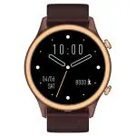 Noise NoiseFit Evolve 3 Smart Watch with 3.63 cm (1.43 inch) AMOLED Display, Vintage Brown