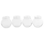 Yera Spice Glass Jar 195 ml (Pack of 4)