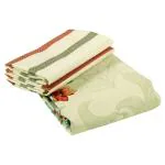 Story@Home Cream & Orange 152 TC Cotton Floral Double Bedsheet with 2 Pillow Covers