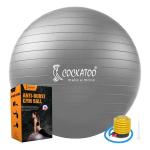 Cockatoo Gym Ball with Pump Anti-Burst 65 cm