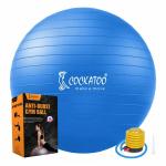 Cockatoo Gym Ball with Pump Anti-Burst 75 cm
