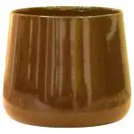 Healthchoice Shinny Brown Straight Iron Planter