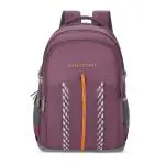 ARISTOCRAT Hi Space Backpack Wine 40 L Backpack (Maroon)