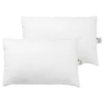 Recron Certified Blume Pillow 16x24 Pack of 2