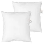 Recron Certified Blume Cushions 16x16 Pack of 2