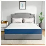 Comforto Dreamer Orthopedic 5 Inch Single Mattress| 7 Years Warranty| Dual Zone Foam Mattress, Soft and Hard Comfort (72x36x5 Inches, Single Size Mattress)