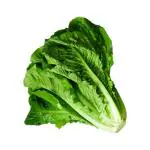 Lettuce 200 g