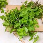 Mint Leaves (Approx 80 g - 150 g)