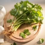 Coriander Bunch (Approx 50 g - 150 g)