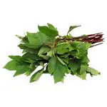 Sorrel Leaves Bunch (Approx. 90 g-100 g)