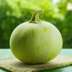 Round Bottle Gourd 500 g