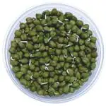 Green Sprouts Channa 1 Pack (Approx 150 g - 250 g)