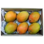 Alphonso Mango 6 pcs (Box) (Approx 1300 g - 1500 g)