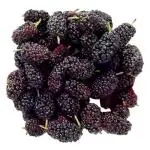 Mulberry 200 g