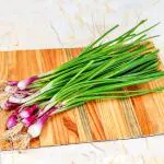 Spring Onion per Bunch (Approx 225 g - 300 g)